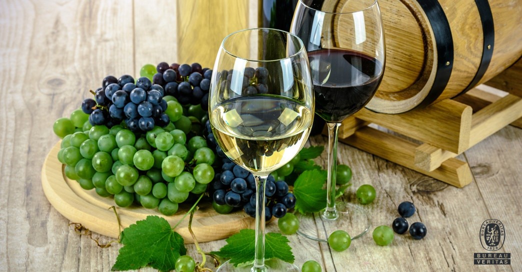 Bureau Veritas integra projeto de certificação de produção sustentável no setor vitivinícola para a região do Alentejo